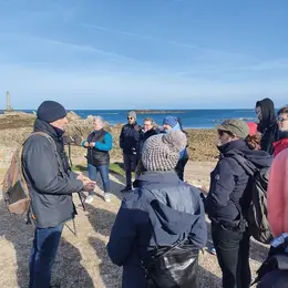A la découverte des oiseaux de la Hague