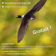 A la découverte des oiseaux du bâti