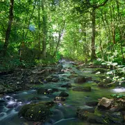 A la découverte des p'tites bêtes du Laizon