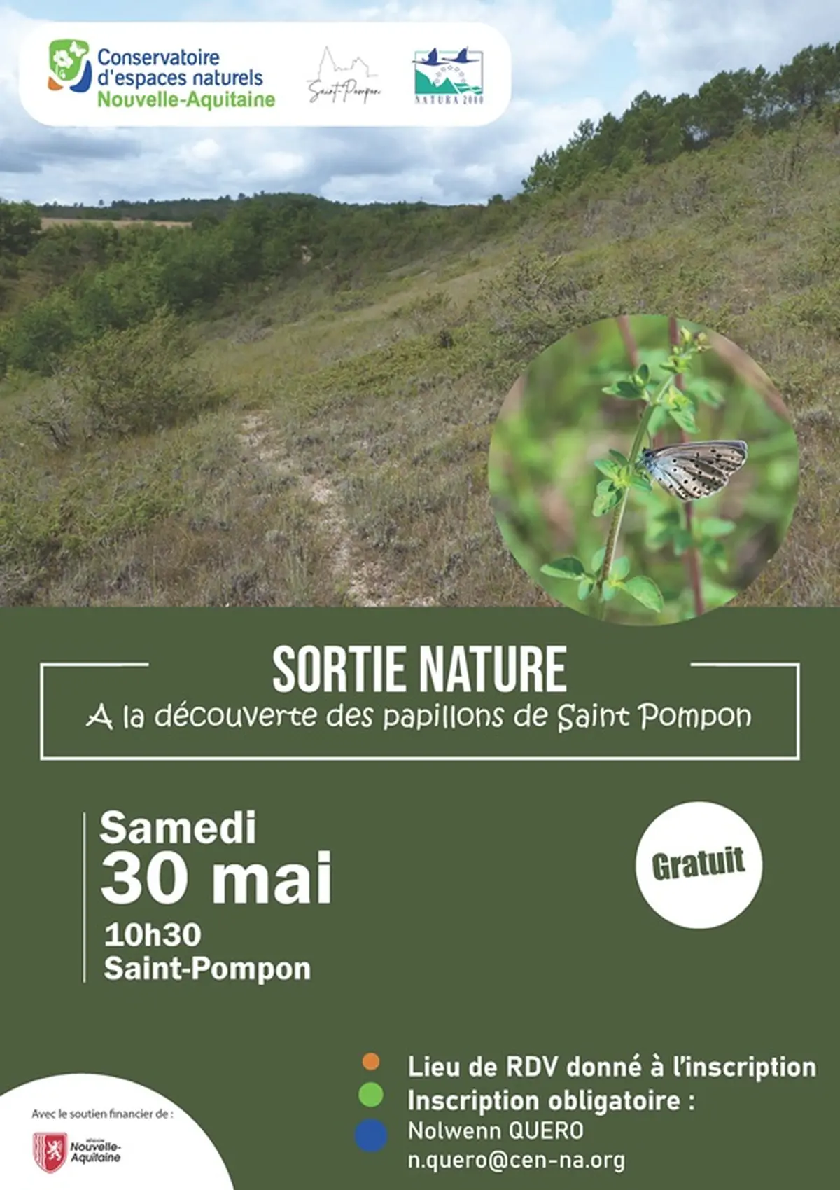 A la découverte des papillons