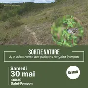 A la découverte des papillons