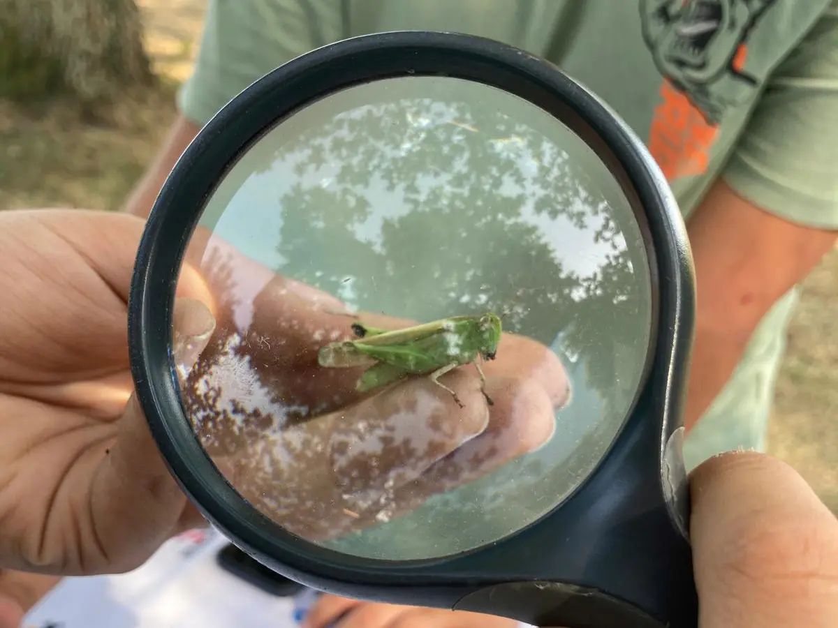 A la découverte des petites bêtes !