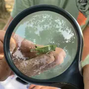 A la découverte des petites bêtes !