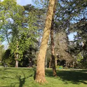 À la découverte des plantes comestibles