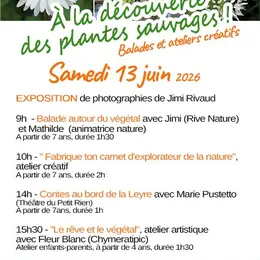 À la découverte des plantes sauvages