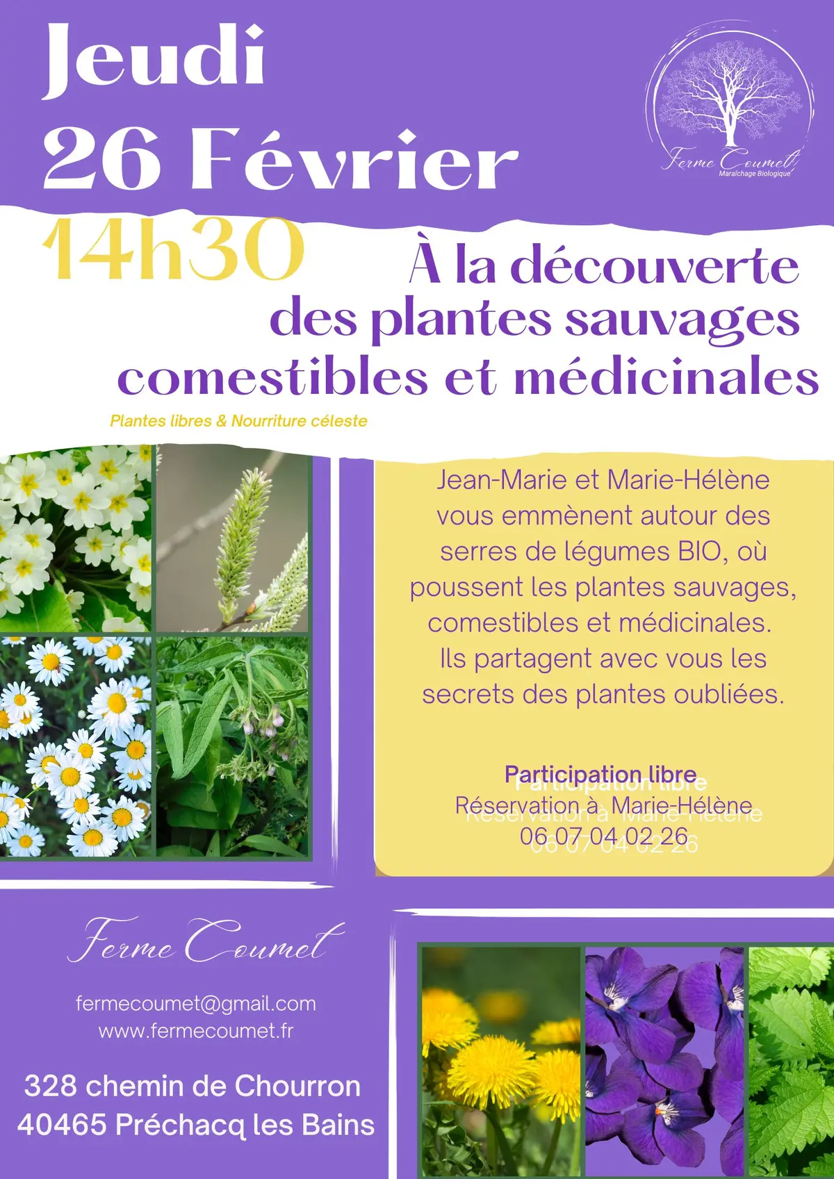 A la découverte des plantes sauvages, comestibles et médicinales