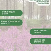 A la découverte des plantes sauvages, médicinales et comestibles avec Francine