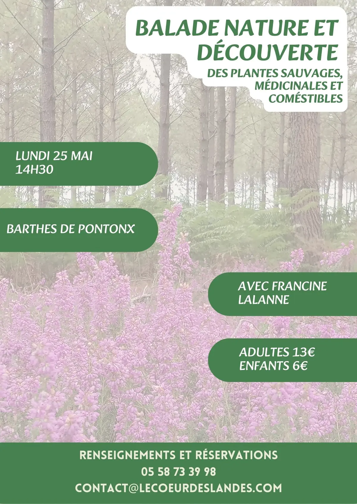 A la découverte des plantes sauvages, médicinales et comestibles avec Francine