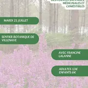 A la découverte des plantes sauvages, médicinales et comestibles avec Francine