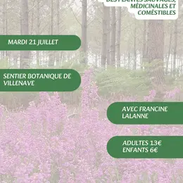 A la découverte des plantes sauvages, médicinales et comestibles avec Francine