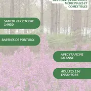 A la découverte des plantes sauvages, médicinales et comestibles avec Francine