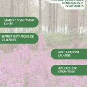 A la découverte des plantes sauvages, médicinales et comestibles avec Francine