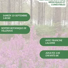 A la découverte des plantes sauvages, médicinales et comestibles avec Francine