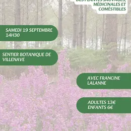 A la découverte des plantes sauvages, médicinales et comestibles avec Francine
