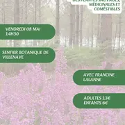 A la découverte des plantes sauvages, médicinales et comestibles avec Francine