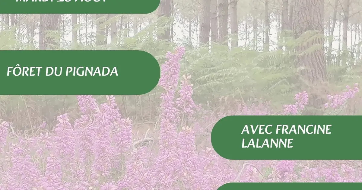 A la découverte des plantes sauvages, médicinales et comestibles avec Francine