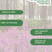 A la découverte des plantes sauvages, médicinales et comestibles avec Francine