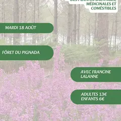 A la découverte des plantes sauvages, médicinales et comestibles avec Francine