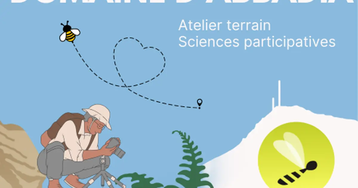 A la découverte des pollinisateurs du domaine d'Abbadia