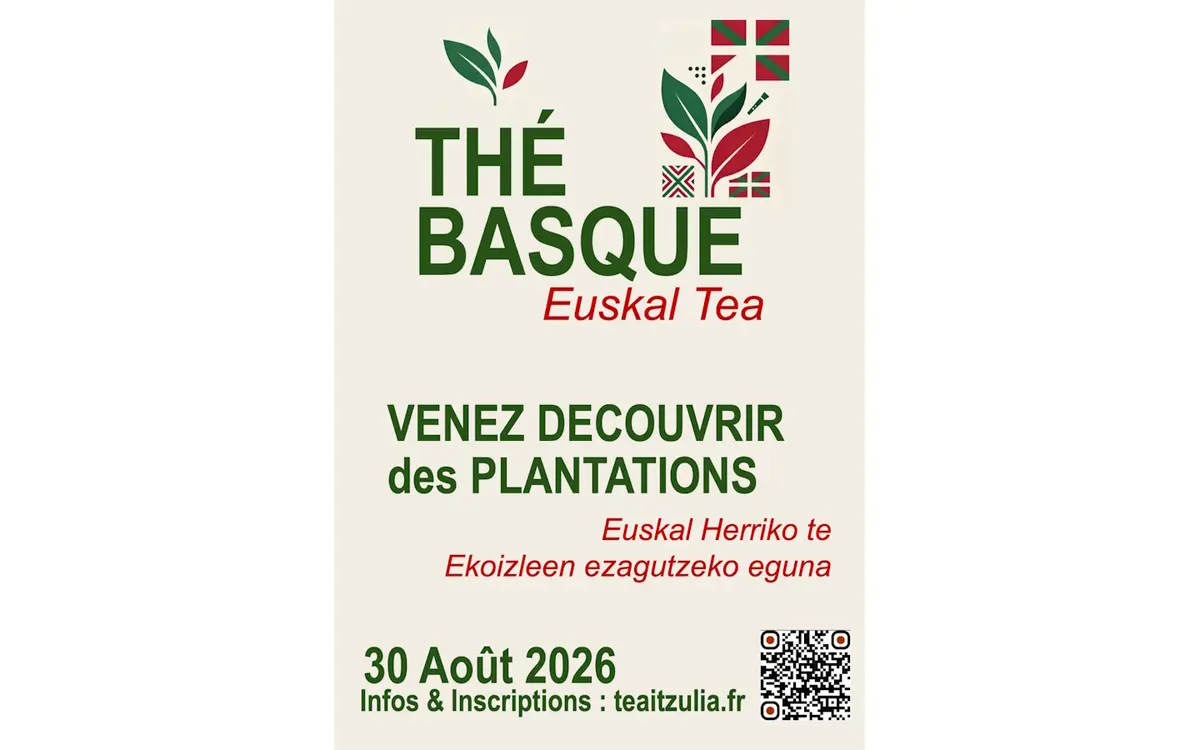 A la découverte des producteurs de thé basque à Ahetze
