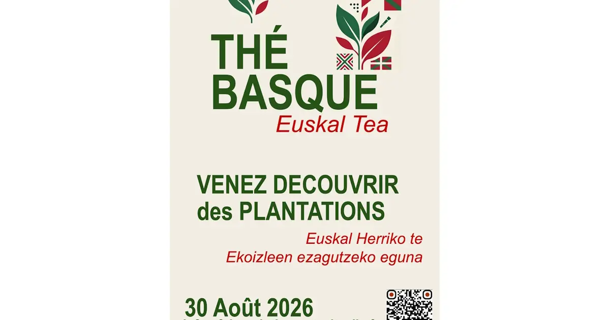 A la découverte des producteurs de thé basque à Ahetze