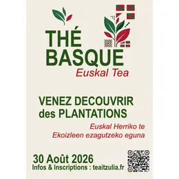 A la découverte des producteurs de thé basque à Ahetze