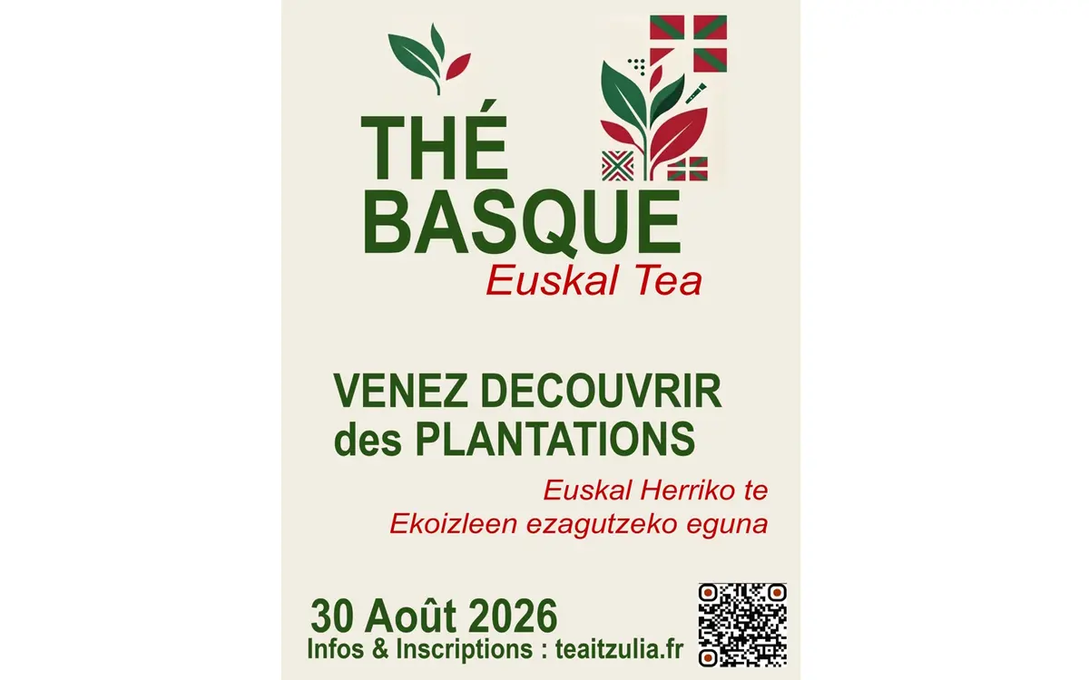 À la découverte des producteurs de thé basque à Macaye
