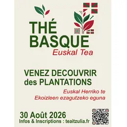 À la découverte des producteurs de thé basque à Macaye