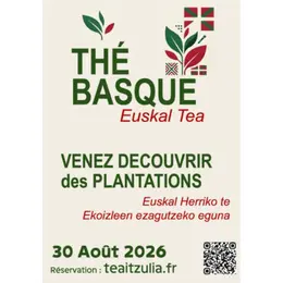 À la découverte des producteurs de thé basques