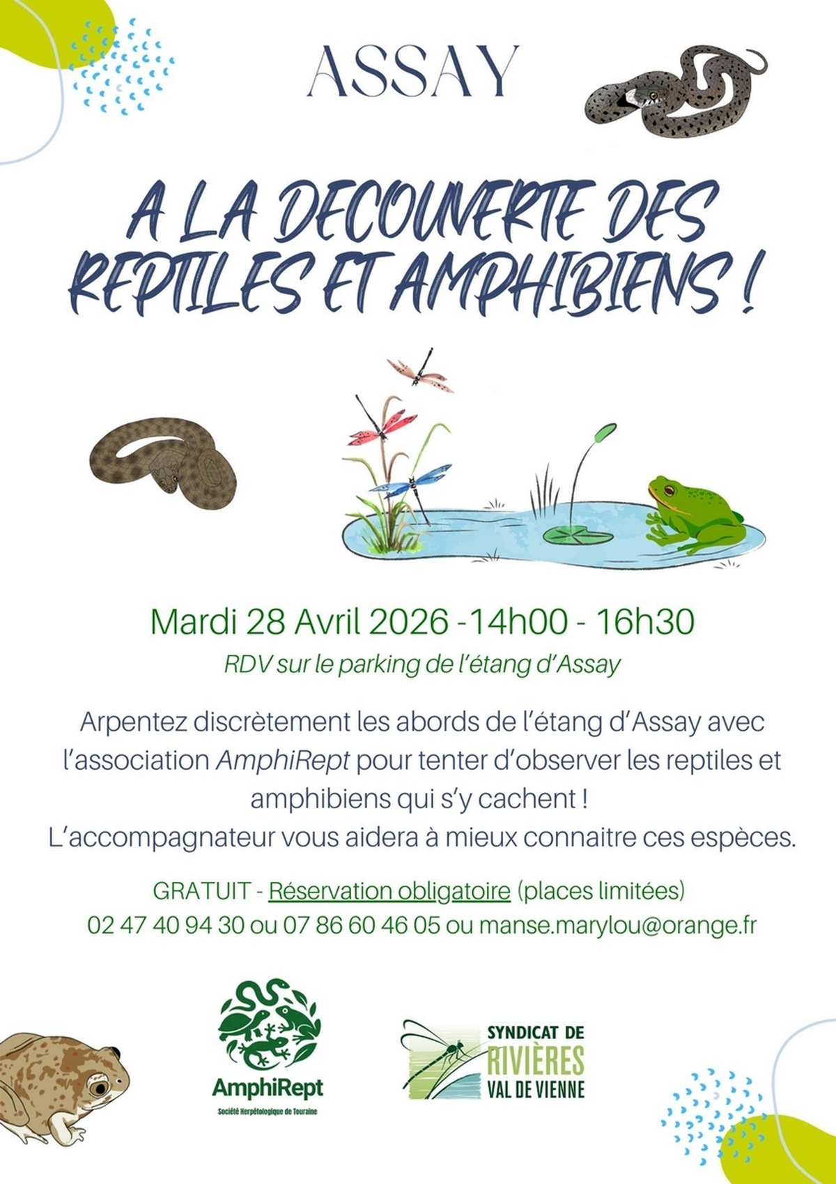 A la découverte des reptiles et amphibiens
