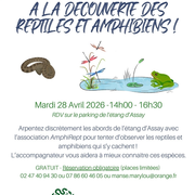 A la découverte des reptiles et amphibiens