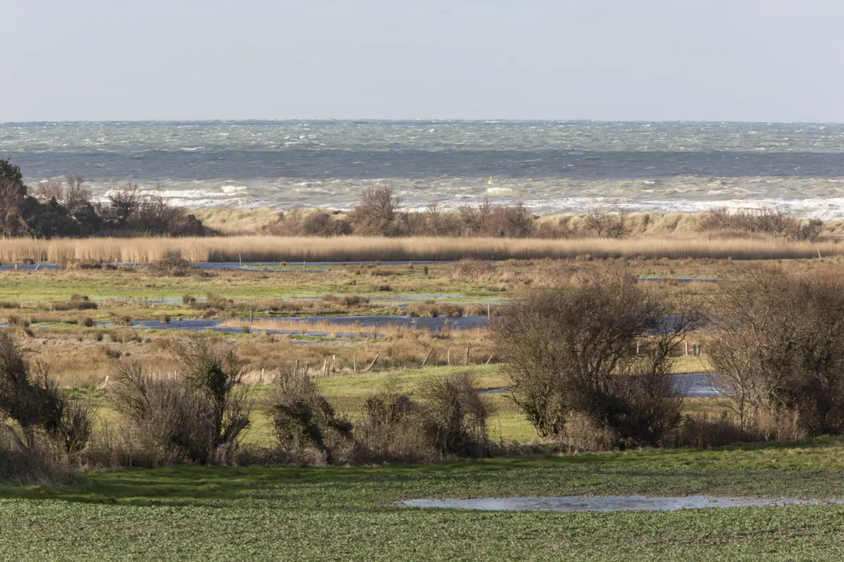 A la découverte des trésors du marais de Ver-sur-Mer/ Meuvaines.