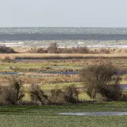A la découverte des trésors du marais de Ver-sur-Mer/ Meuvaines.