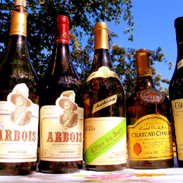 A la découverte des vins du Jura