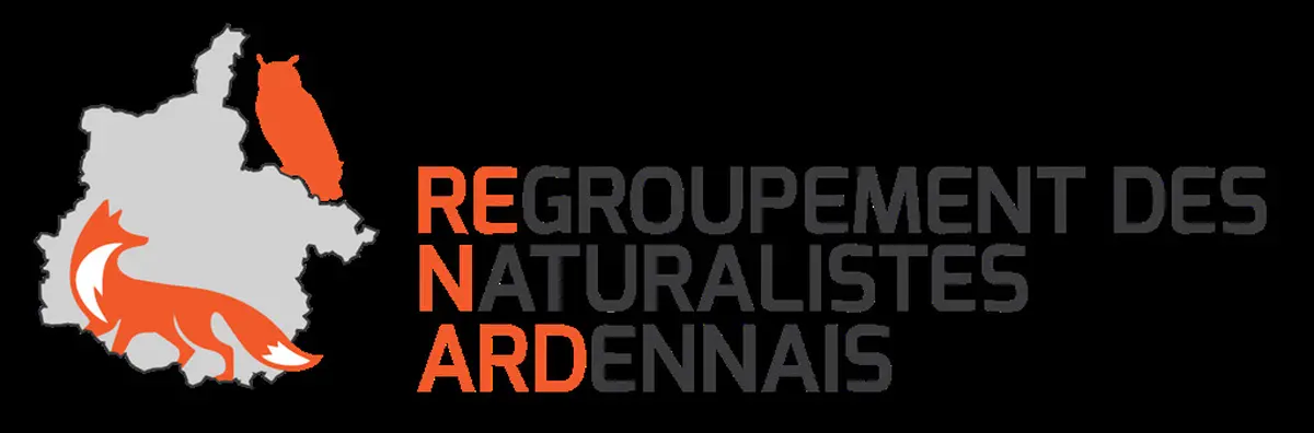 A la découverte du castor d'Europe