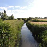 À la découverte du Marais de Contres