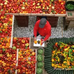 A la découverte du marché couvert de Granville