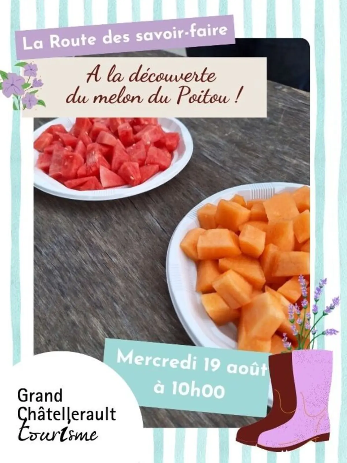 A la découverte du melon du Poitou