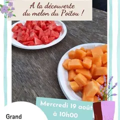 A la découverte du melon du Poitou