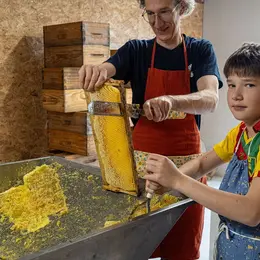 A la découverte du miel pressé