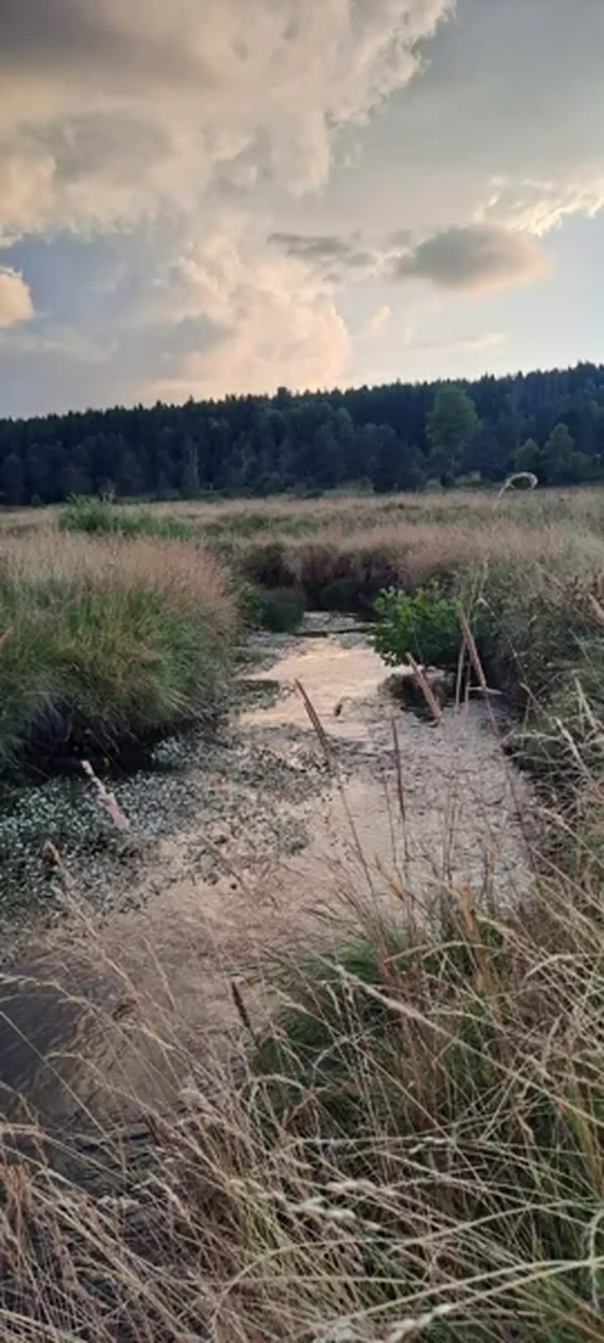 A la découverte du monde discret des rivières