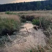 A la découverte du monde discret des rivières