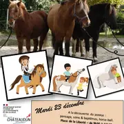 A la découverte du poney avec le Centre Equestre Dunois