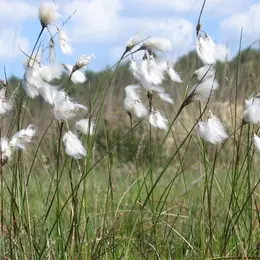 A la découverte du Pré Maudit