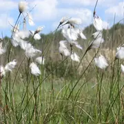A la découverte du Pré Maudit