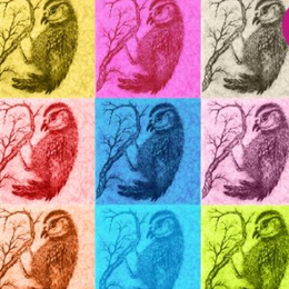 A la manière d'Andy Warhol : atelier de création plastique bilingue LSF/FR