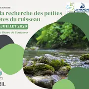 A la recherche des petites bêtes du ruisseau