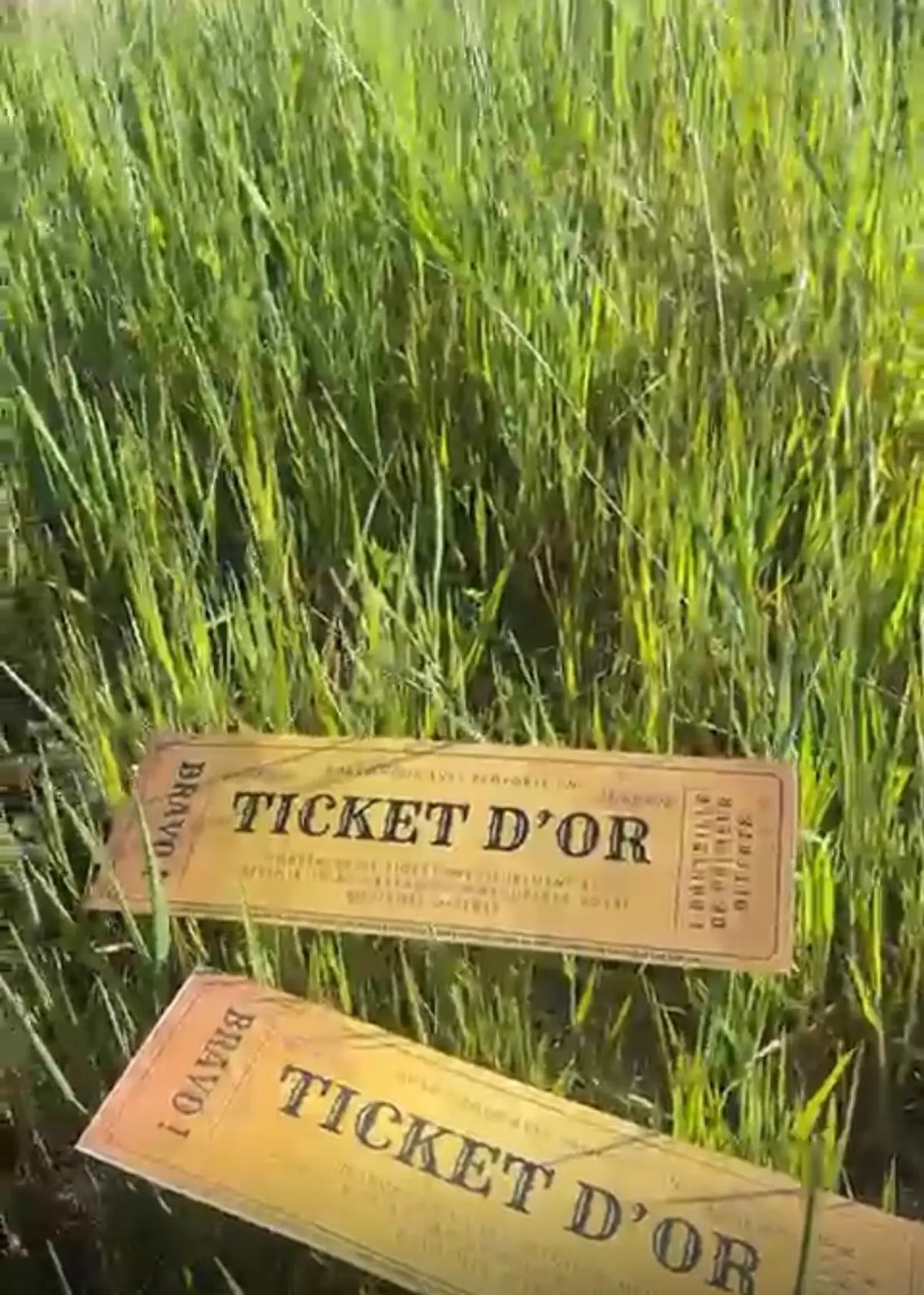 À la recherche du Ticket d’Or du Vignoble du Roy René