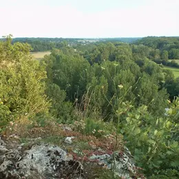 A la recherche du trésor d'Halloween au Bois des Roches