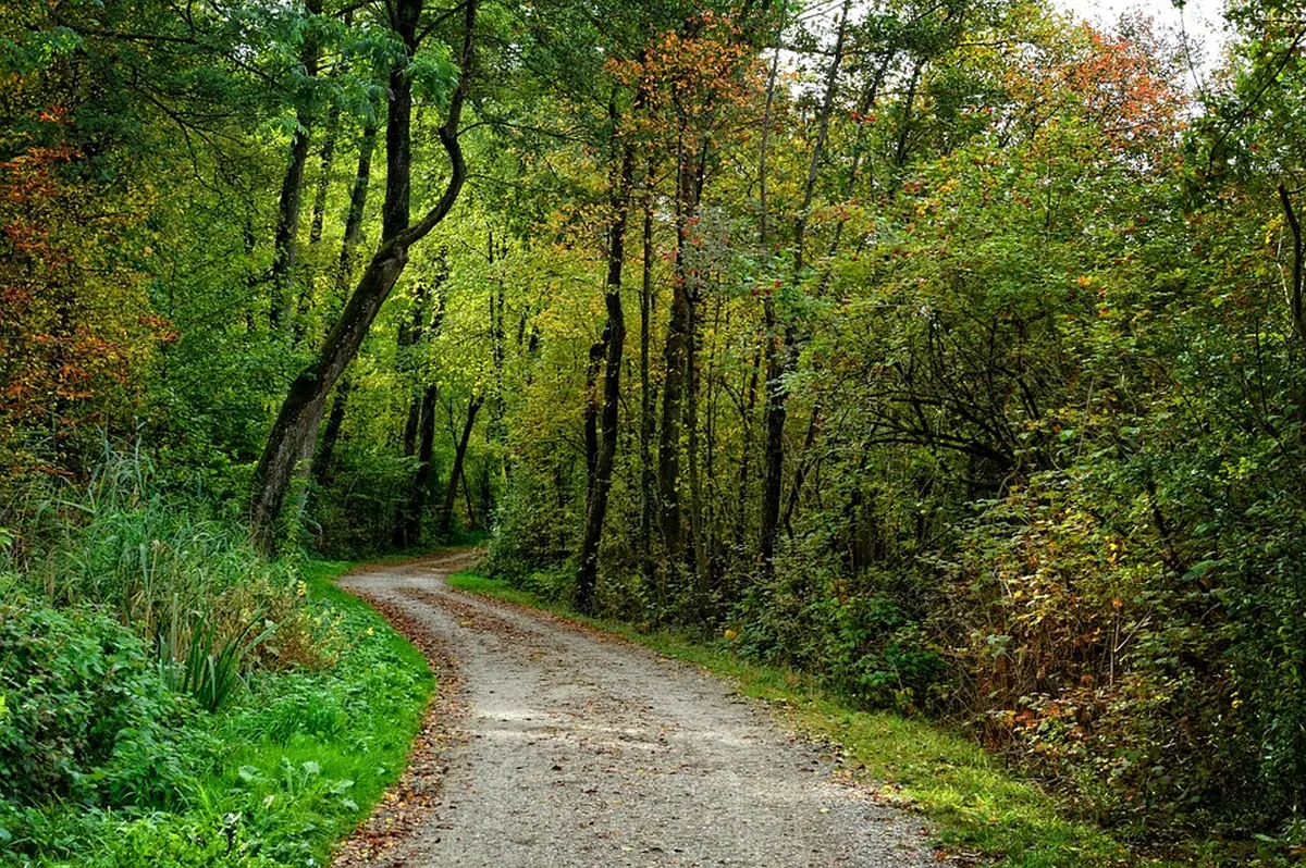 A la rencontre de la Forêt de Navarrenx puis Mirasou